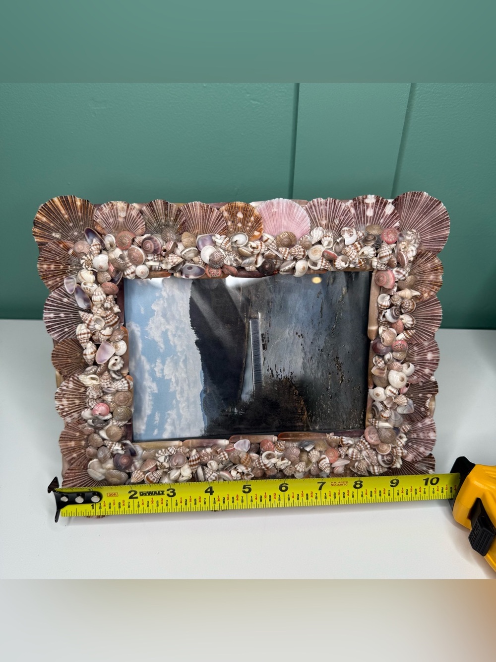 Seashell Shell Photo Picture Frame Natural Coastal Beachy Beach House Decor - Picture 15 of 16